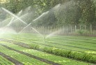 Seaford VIClandscaping-irrigation-11.jpg; ?>